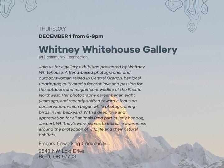 The Ascent Series @ Embark – Whitney Whitehouse Gallery