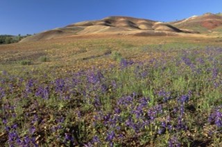 An Evening with The Nature Conservancy